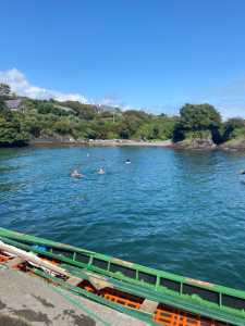 IMG 20250808 WA0005 IMG 20250808 WA0005