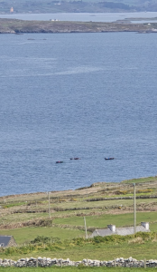 Screenshot 2025 05 01 at 09.31.09 Screenshot 2025 05 01 at 09.31.09